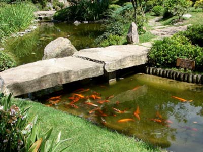 Jardín Japonés