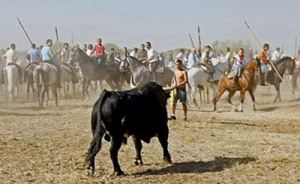 Volante y la Horda