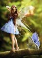 Hada y Mariposa