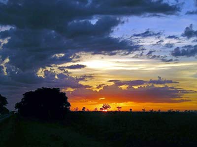 Cielos