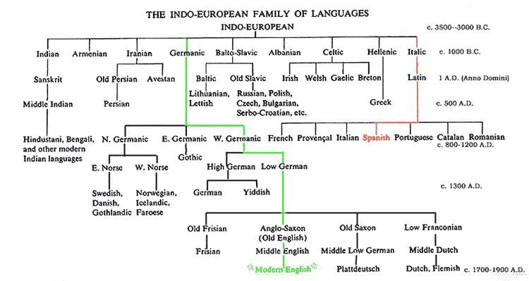 Indoeuropean Language