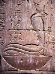 Wadjet