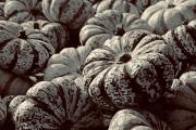 ¿Calabazas en mayo? O sobre el Samhain del Sur…
